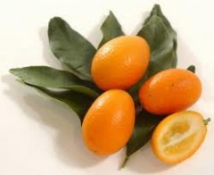 kumquats